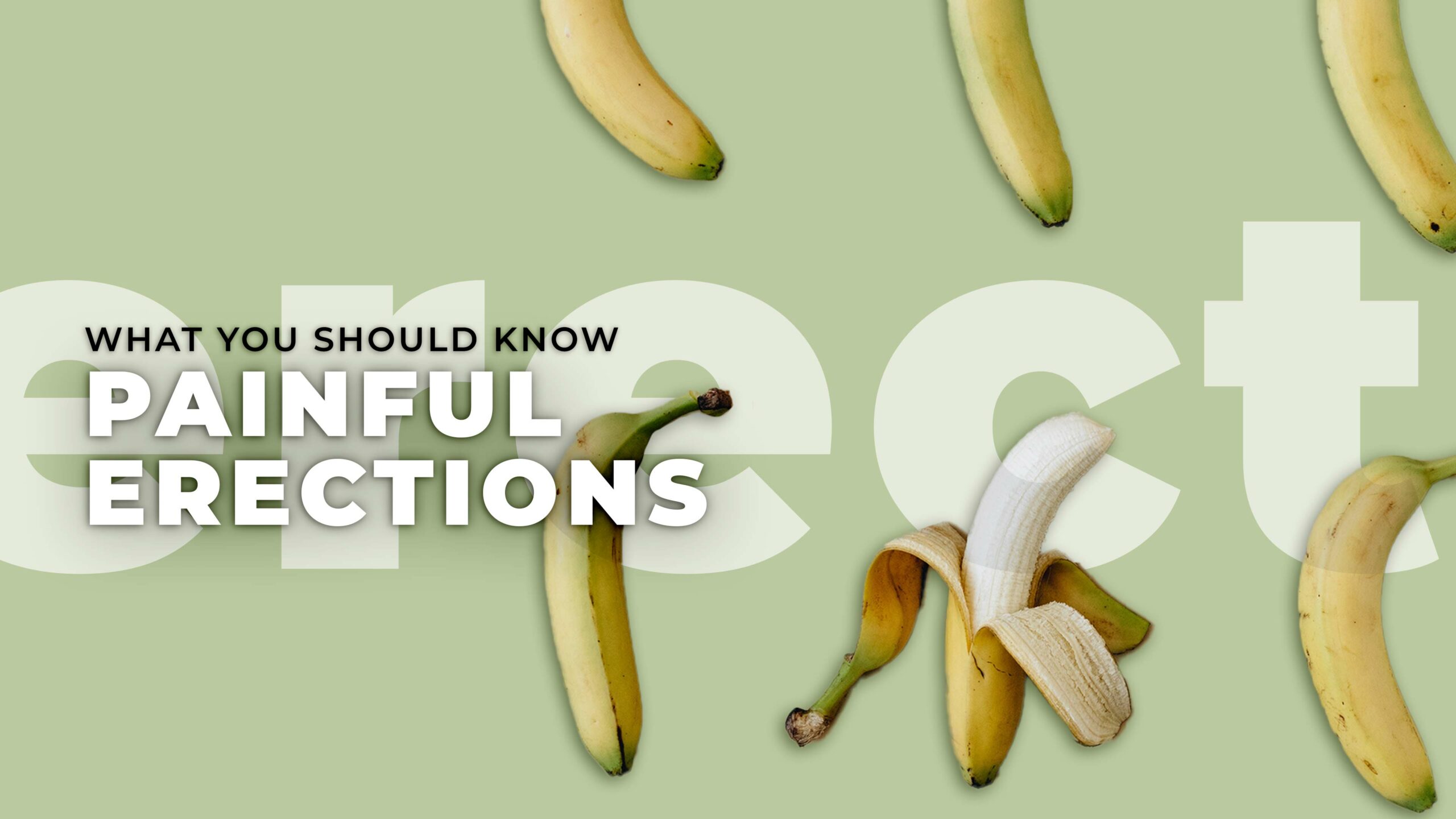 Painful Erections What You Should Know