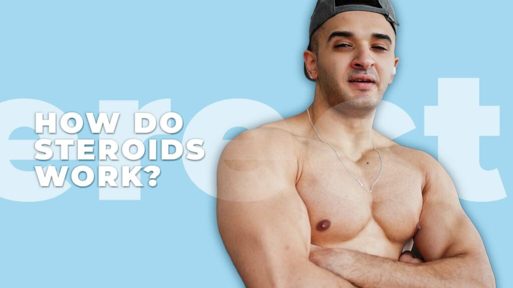 How do Steroids Work