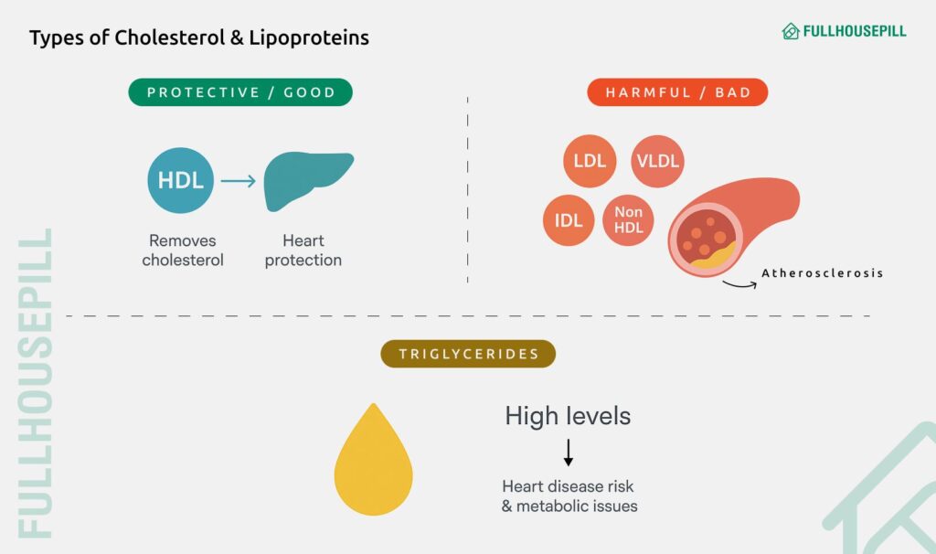 cholesterol and ed : can high cholesterol cause ed? 2 types of cholesterol