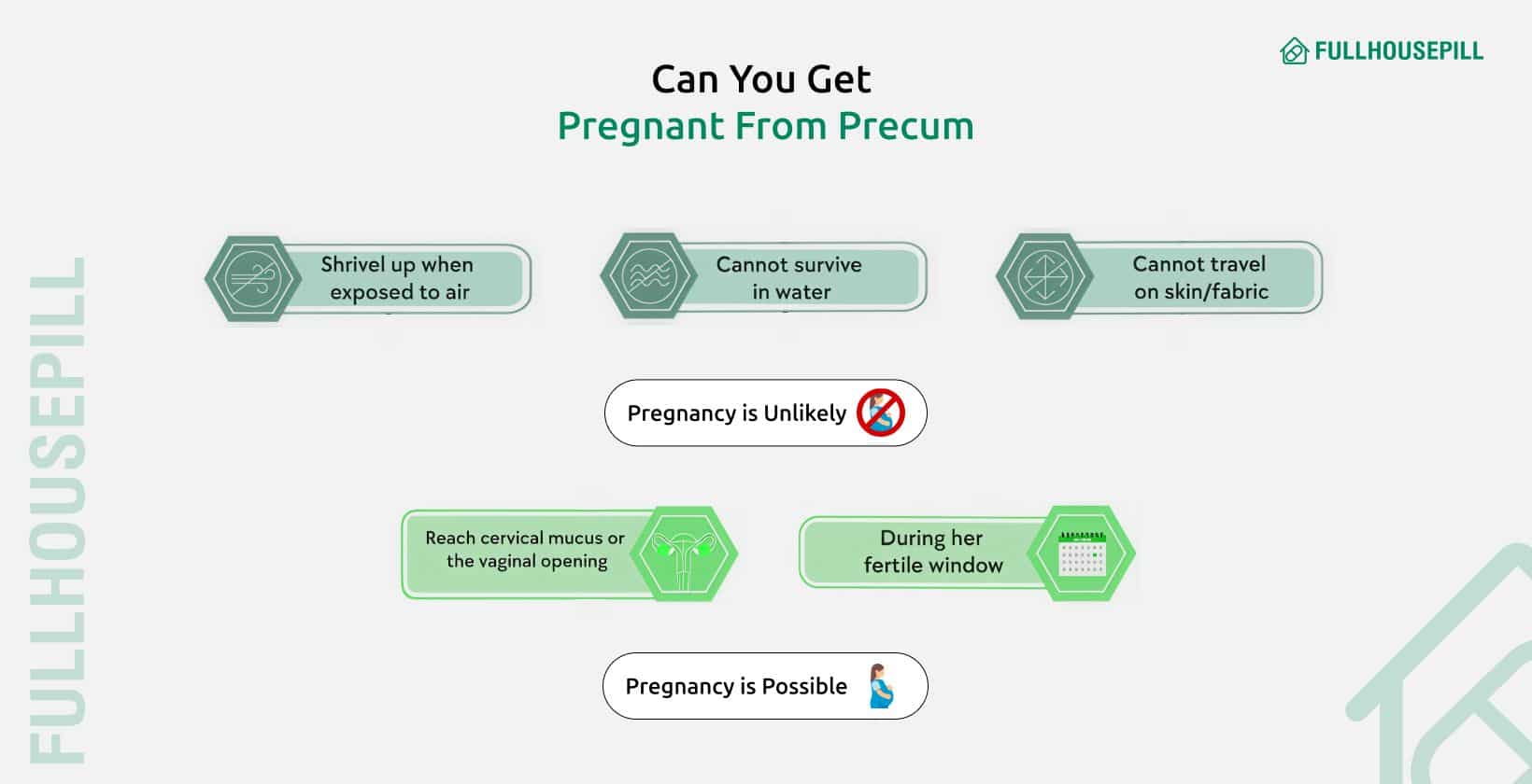 Can You Get Pregnant From Precum Or Pre Ejaculate? 1 Can You Get Pregnant From Precum 1
