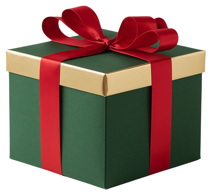 christmas fullhouse image 3